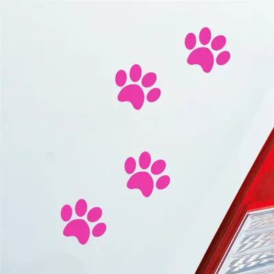 Produktbild von Auto Aufkleber Pfoten Paws Dog Hund Haustier Tier Pfote Paw 8x10 cm Pink Sticker Heckscheibenaufkleber