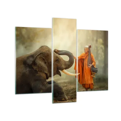 Produktbild von Bilder auf glas - Elefant Mönch Stoßzahn - 95x80cm - Glasbilder - Wandbilder - Kunstdruck - zum Aufhängen bereit - Wanddekoration aus Glas - Glas Bilder - Wandbild auf Glas - 3 Teile - GCB95x80-3484