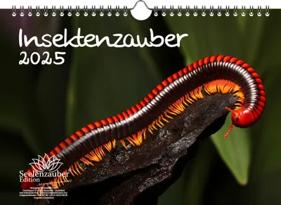 Produktbild von Insektenzauber DIN A4 Kalender für 2025 - Seelenzauber