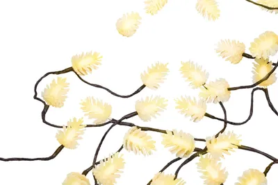Produktbild von 6m Lichterkette Pinienzapfen 60 LED´s Weihnachten Fenster Deko Beleuchtung