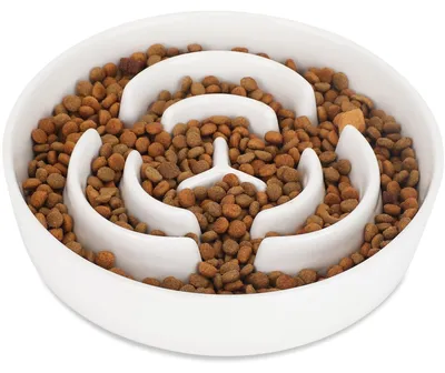 Productafbeelding van Omgoods - Antislip Keramische Slow Feeder Voerbak voor Honden, 20.5 cm