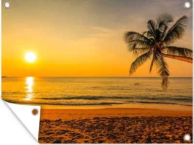 Produktbild von MuchoWow® 120x90 cm Outdoor-Poster Gartendeko Sichtschutz Garten Poster für den Garten  Palme - Strand - Sonnenuntergang - Meer