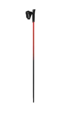 Produktbild von Bastón Trekking Viking PRO-TRAINER rot 110 Rojo
