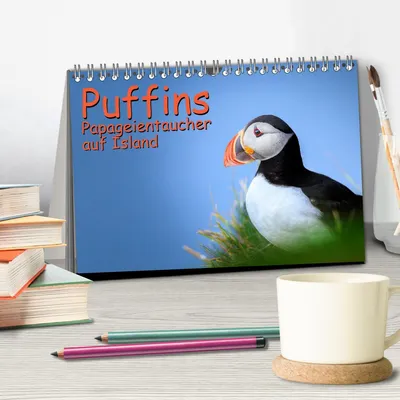 Produktbild von Puffins - Papageientaucher auf Island (Tischkalender 2026 DIN A5 quer), CALVENDO Monatskalender