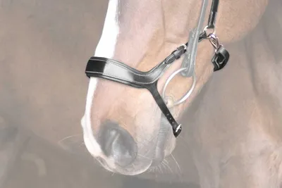 Immagine prodotto di Ps Of Sweden Pioneer Noseband Brown Cob Brown Cob
