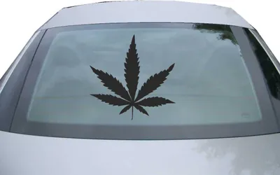 Produktbild von Indigos UG - Aufkleber Heckscheibe & Motorklappe DE6984 - schwarz - 600x599 mm - Hanf Blatt - Auto Scheiben Fenster Heckklappe Tuning Racing JDM - Die cut