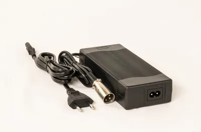 A black battery charger with cables and plugs is shown against a white background.