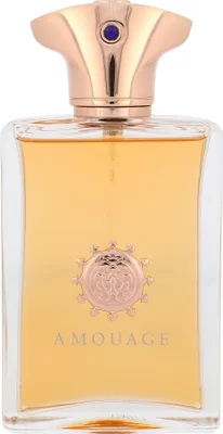 Obrázok produktu pre Amouage Dia pour Homme parfumovaná voda 100ml