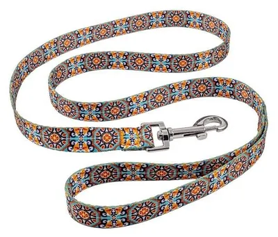 Image de Laisse pour chien ou chat, couleur verte, avec mousqueton, 2 x 120 cm