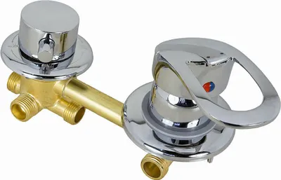 A chrome and brass shower faucet mixer with two controls and multiple outlets.