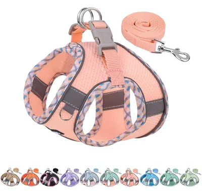 Immagine prodotto di Imbracatura per cani con guinzaglio, regolabile, imbottita, riflettente, colore rosa, taglia S