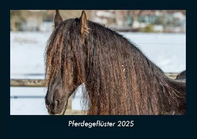 Produktbild von Pferdegeflüster 2025 Fotokalender DIN A4