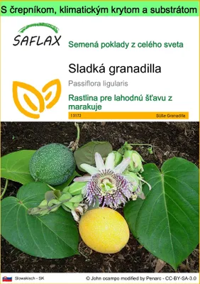 Obrázok produktu pre SAFLAX Garden to go - Sladká granadilla - Passiflora ligularis - 20 Semená - S črepníkom, klimatickým vekom a pestovateľským substrátom