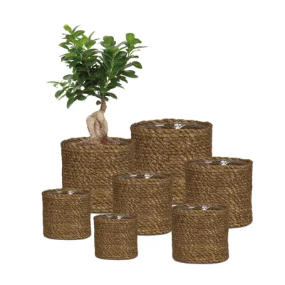 Produktbild von Scheurich Natural, Korb-Pflanzer, Freistehend, Seegras, Braun, Rund, Drinnen