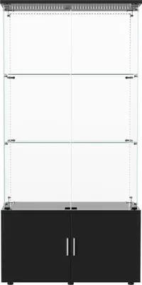 Zdjęcie produktu dla Witryna szklana – witryna do salonu – listwa oświetleniowa LED – 3 półki – podwójne drzwi – 78,5 x 35 x 164 cm – czarna