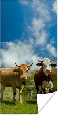 Produktbild von MuchoWow® Poster Kühe - Sonne - Landschaft 40x80 cm - Dekoration