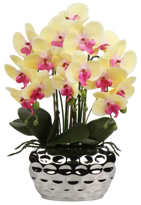 Produktbild von Kunstpflanze Orchidee in Keramiktopf