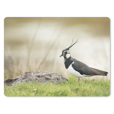 Produktbild von MuchoWow® Mauspad Mousepad Vogel - Gras - Tiere - Natur - Kiebitz 23x19 cm - Mousepads - Maus Mat - Pad - Mausunterlage - Schreibtischunterlage - Mauspad