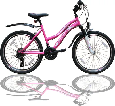 Produktbild von 24 Zoll Mädchen Fahrrad MTB mit Beleuchtung und SHIMANO 21-Gang Kinderfahrrad Rosa