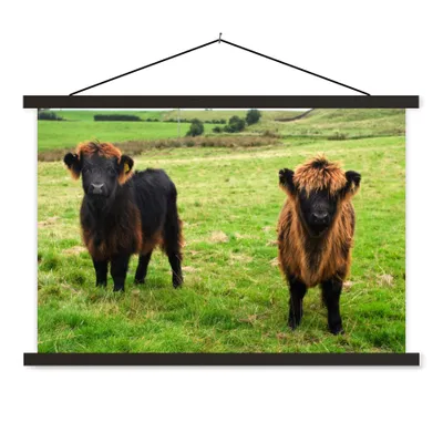 Produktbild von MuchoWow® Textilposter Schottische Highlander - Gras - Kühe 150x100 cm mit schwarzem Rahmen - Schlafzimmer