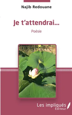 Produktbild von Je t'attendrai...