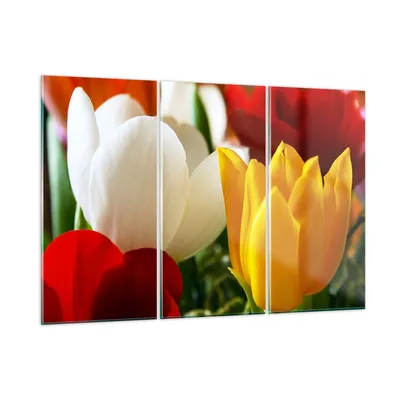 Produktbild von Bilder auf glas - Tulpen Vase Blumenstrauß - 165x110cm - Glasbilder - Wandbilder - Kunstdruck - zum Aufhängen bereit - Wanddekoration aus Glas - Glas Bilder - Wandbild auf Glas - GCE165x110-1366
