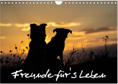 Produktbild von Hunde - Freunde für's Leben (Wandkalender 2025 DIN A4 quer), CALVENDO Monatskalender