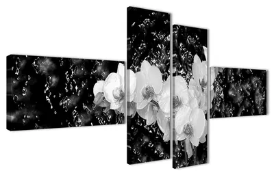 Obrázek produktu pro Obraz na plátně Orchidej Černá Bílá 4-dílný 160x70 cm