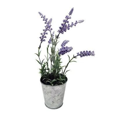 Obrázok produktu pre Autronic Levanduľa v kovovom kvetináči, 34 cm