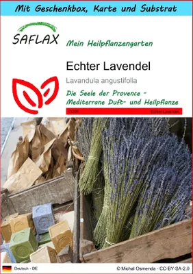 Produktbild von SAFLAX Geschenk Set - Echter Lavendel - Lavandula angustifolia - 150 Samen - Mit Geschenkbox, Versandaufkleber, Geschenkkarte und Anzuchtsubstrat