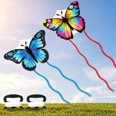 Imagen del producto de Mariposas de dragón, 110 x 72 cm, 2 unidades, con colas de colores, para uso en exteriores