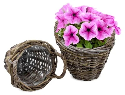 Produktbild von Weide Pflanzkorb 2er Set Shabby Grau - 20 cm/mini - Holz Blumenkorb mit Henkel - Rattan Blumentopf foliert Natur Garten Deko klassisch