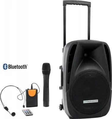 Zdjęcie produktu dla Bateria do jednostki aktywnej Pronomic PH12AW 12"