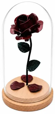 Ewige Eisenrose unter Glasglocke, 20 cm, handgefertigt