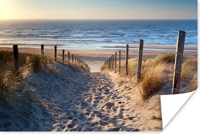 Produktbild von MuchoWow® Poster Strand - Meer - Niederlande - Dünen - Sonne 120x80 cm - Bilder