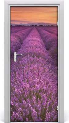 Produktbild von Tulup Türaufkleber 85x205 cm Dekorative Aufkleber Selbstklebend Wasserdichte Tapete Abnehmbar Schlafzimmer Wohnzimmer Wohnkultur - Lavendelfeld