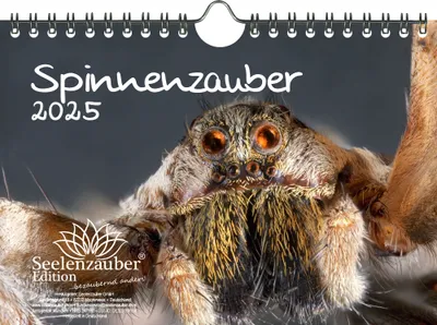 Produktbild von Spinnenzauber DIN A5 Wandkalender für 2025 - Seelenzauber