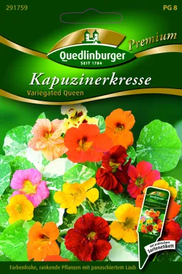 Produktbild von Kapuzinerkresse Variegated Que | Kapuzinerkressesamen von Quedlinburger