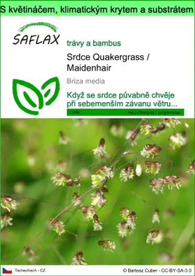 Obrázek produktu pro SAFLAX Garden to go - Srdce Quakergrass / Maidenhair - Briza media - 75 Semena - S květináčem, klimatickou poklicí a pěstebním substrátem