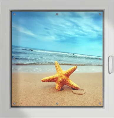 Produktbild von Wallario Lichtschutzbild, Dekorativer Sichtschutz Sonnenschutz 96 x 93 cm mit Motiv: Seestern am Strand am Meer - Verdunklung ohne Bohren