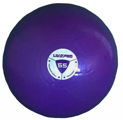 Produktbild von Sedco Gymnastikball 55 cm - Fitness & Therapie
