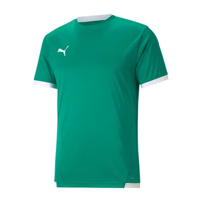 Produktbild von Puma Teamliga Trikot Kurzarm Herren - Grün / Weiß