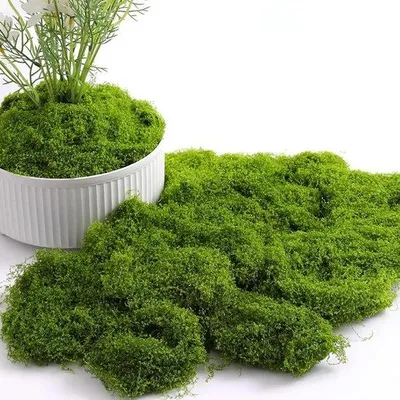Produktbild von Kunstmos für Blumenarrangements und Bastelprojekte - 150 g - Dunkelgrün