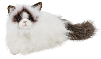 Produktbild von Kuscheltier Katze Ragdoll weiß/schwarz 35 cm Plüschkatze