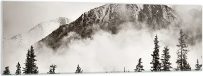 Produktbild von Bilder auf glas - Einteilig - Nebel Berg Wald - 160x50cm - Glasbilder - Wandbilder - Bilder - zum Aufhängen bereit - Wanddekoration aus Glas - Glas Bilder - Wandbild auf Glas - GAB160x50-4936