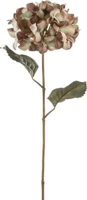 Zdjęcie produktu dla Gilde Hortensie "Ena" aus Kunststoff · grün-rosa Höhe 68 cm 56393