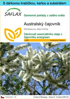 Obrázek produktu pro SAFLAX Dárková sada - Australský čajovník - Melaleuca alternifolia - 400 Semena - S dárkovou krabičkou, přepravním štítkem, dárkovou kartou a pěstebním médiem