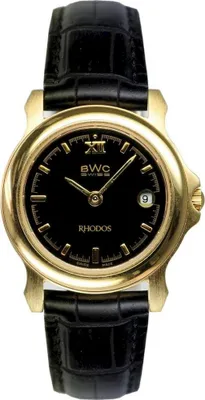 Obrázek produktu pro BWC Swiss hodinky 295-3322-2-2