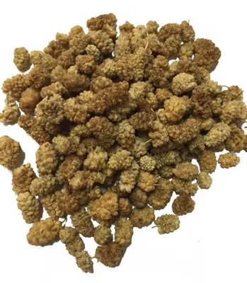 Produktbild von BIO Maulbeeren hell 1000g