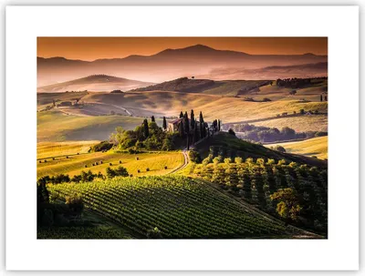 Produktbild von Poster - Poster ohne Rahmen - Landwirtschaft Bauernhof Toskana Weinberg - 40x30 cm - Wand Bild - Wanddeko - Wandbilder - Kunstposter - Wandposter - Bilder - Kunstdruck - Wandbild - P2XAA40x30-2465